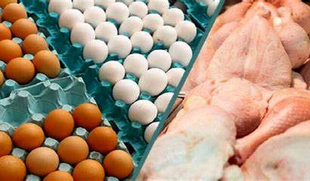 روند افزایشی قیمت مرغ در شیراز