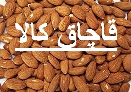 کشف و جمع آوری بیش از ۴۰۰ کیلوگرم بادام درختی قاچاق در بوئین میاندشت