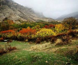 آشنایی با داروخانه طبیعی ایران