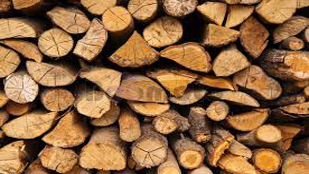 کشف محموله ۴ تنی چوب غیر مجاز جنگلی در کوار