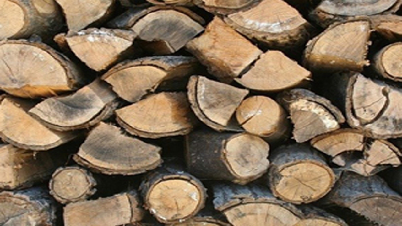 کشف دو هزار و ۷۰۰ کیلوگرم چوب جنگلی قاچاق در خانمیرزا