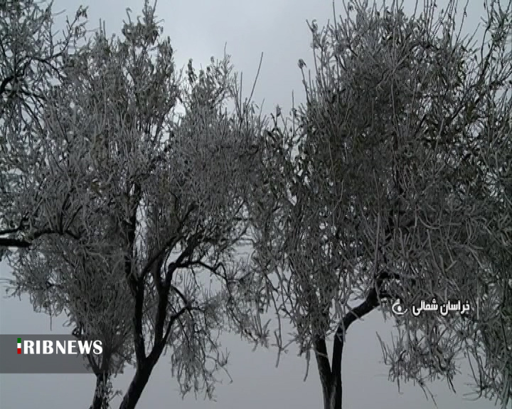 گزارش مکتوب: گلخانه ها، امید زمستانی کشاورزان