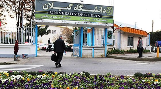 استادان دانشگاه گیلان جزء پژوهشگران پراستناد یک درصد برتر ایرانی