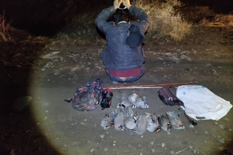 دستگیری شکارچیان  در مهاباد