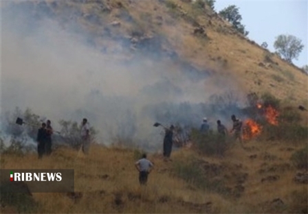 182 فقره آتش سوزی در عرصه های طبیعی کردستان