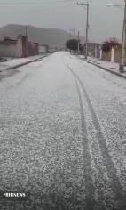 خسارت تگرگ به مزارع کشاورزی  روستای آبید دزفول