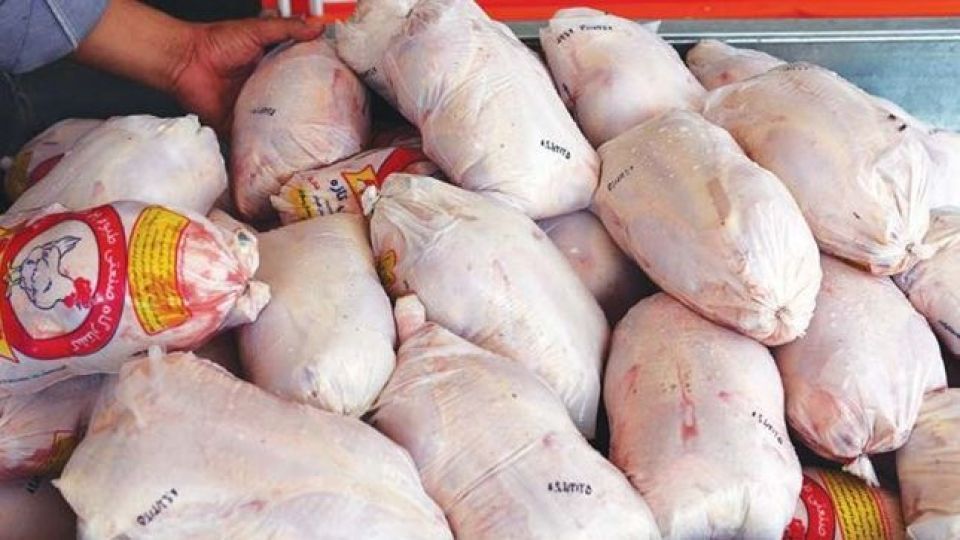 توزیع مرغ منجمد با قیمت مصوب در هرمزگان