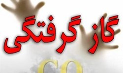 ۲۸ مسموم ناشی از گازگرفتگی در پاییزِ خوزستان