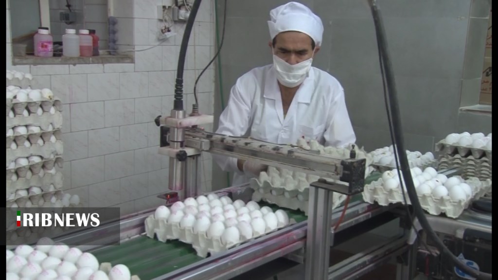 کاهش تب داغ قیمت تخم مرغ در همدان