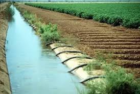 بهره برداری از ۷۵ طرح آبرسانی کشاورزی در استان مرکزی