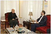 دیدار سخنگوی وزارت خارجه ایران با حامد کرزی
