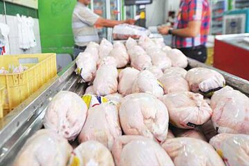 کاهش قیمت مرغ کشتار روز