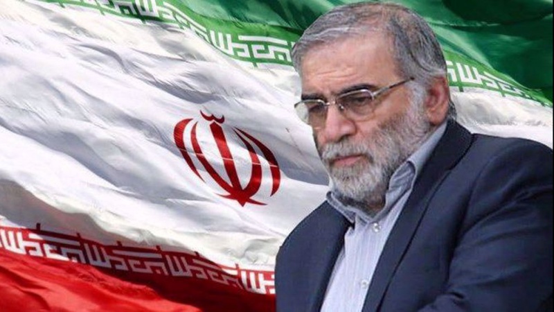 بازتاب ترور دانشمند برجسته ایران در محافل بین‌المللی (۲)