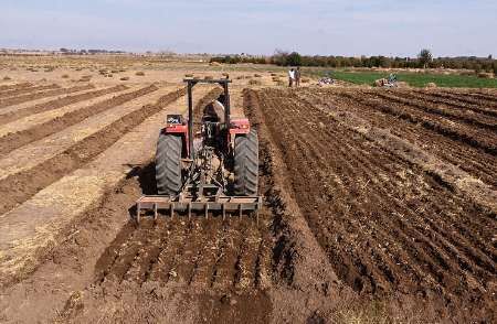 توزیع بیش از ۳ هزار تن بذر اصلاح شده به کشاورزان استان سمنان