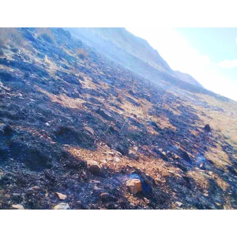 بی احتیاطی گردشگران در کوه سیاه اقلید آتش به پا کرد