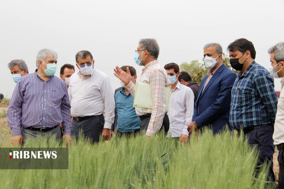 آوای تولید محصولات کشاورزی در خوزستان خوش است
