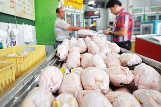 آغاز توزیع مرغ با نرخ جدید در اصفهان