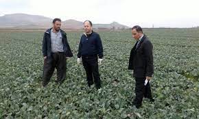 پایش مستمر مزارع زیر کشت دانه روغنی کلزا در آذربایجان غربی