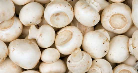 رتبه اول استان قزوین در تولید بستر کشت قارچ خوراکی در کشور