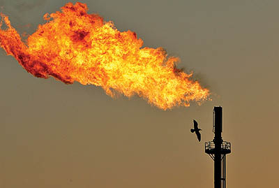 پایان عمر فلر‌های نفتی در رگ سفید نزدیک است