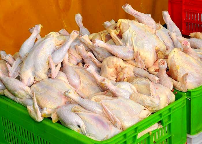 بازار مرغ در خراسان رضوی به حالت طبیعی باز می گردد