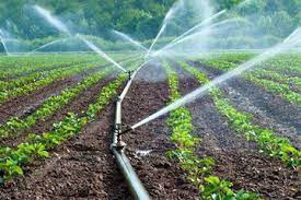 تجهیز ۴۰ درصد مزارع آبی استان به سیستم آبیاری نوین 