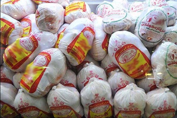 توزیع ۷۰ تن مرغ منجمد در بازار کهگیلویه و بویراحمد