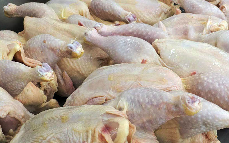 هشت تن مرغ قاچاق در اردبیل کشف شد