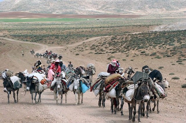 اعلام زمان بندی کوچ عشایر از ۳۰ فروردین تا ۲۰ اردیبهشت