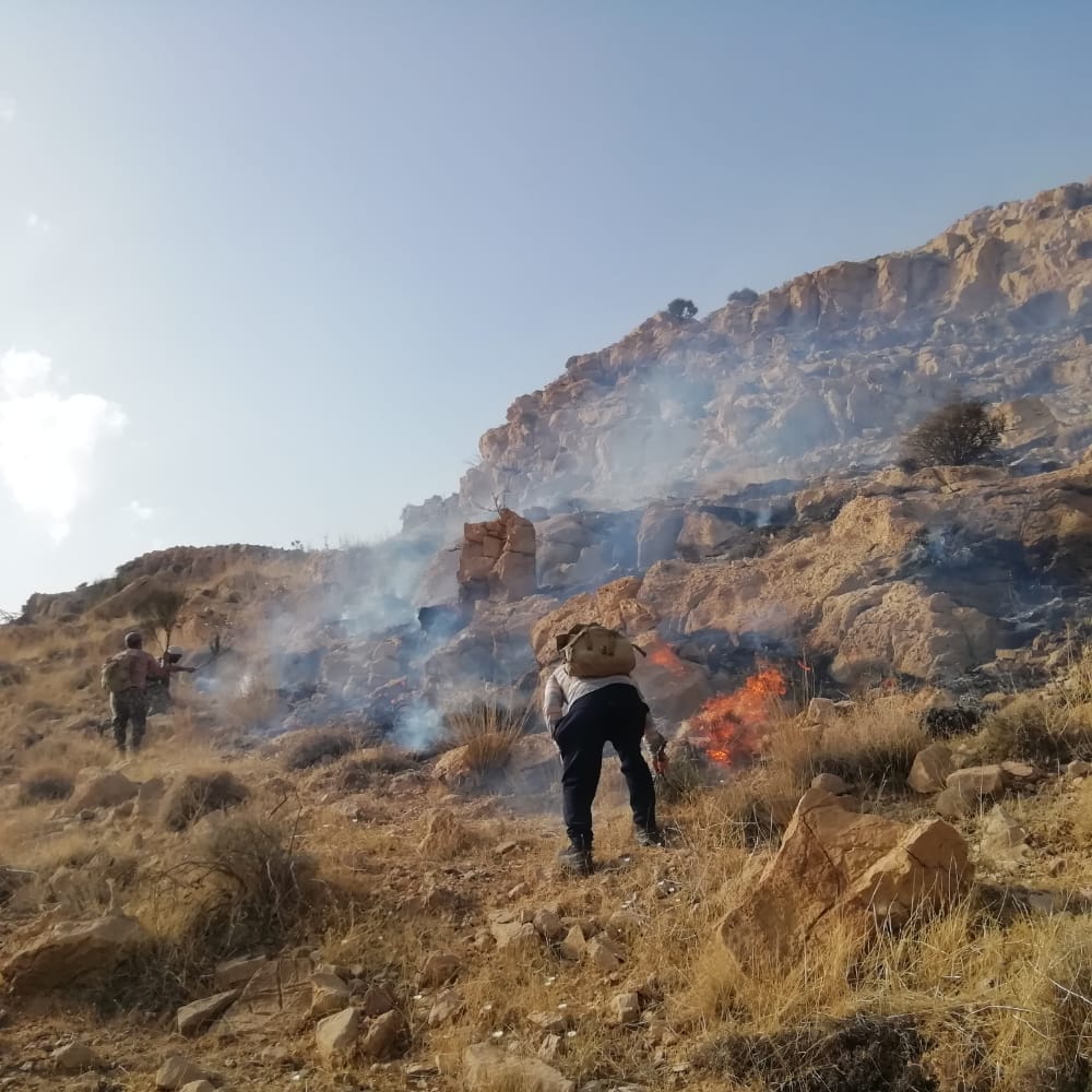 مهار آتش در منطقه هنگام شهرستان قیروکارزین