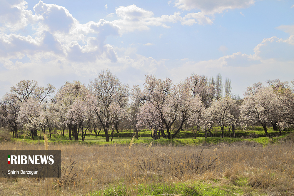 آسمان فارس صاف تا نیمه ابری