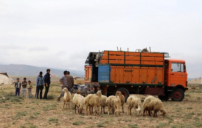 کوچ ماشینی عشایر و دامداران کوچ رو  در فارس از ۲۳ اردیبهشت