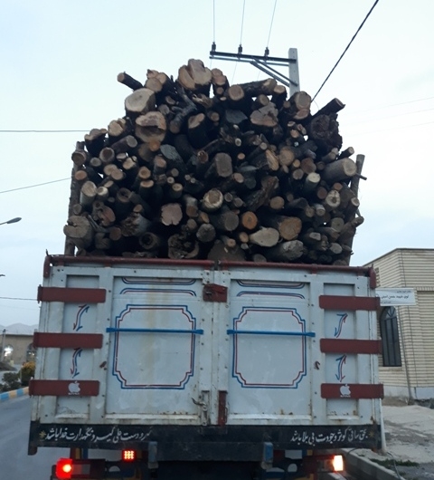 مشارکت جهادی همه بخش‌ها برای مقابله با قاچاق چوب در استان