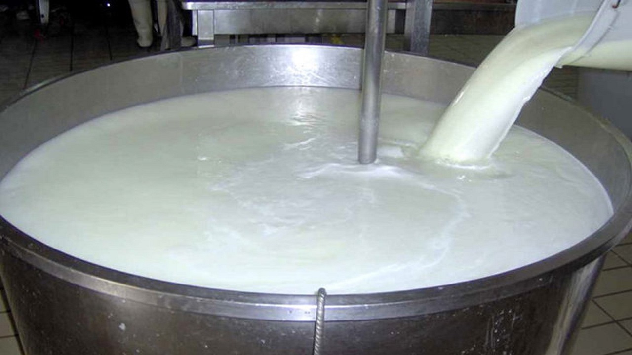 تولید شیر در استان قزوین از مرز ۶۰۰ هزار تن عبور کرد
