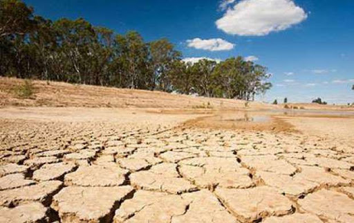 خشکسالی پدیده ای فراگیر برای استان