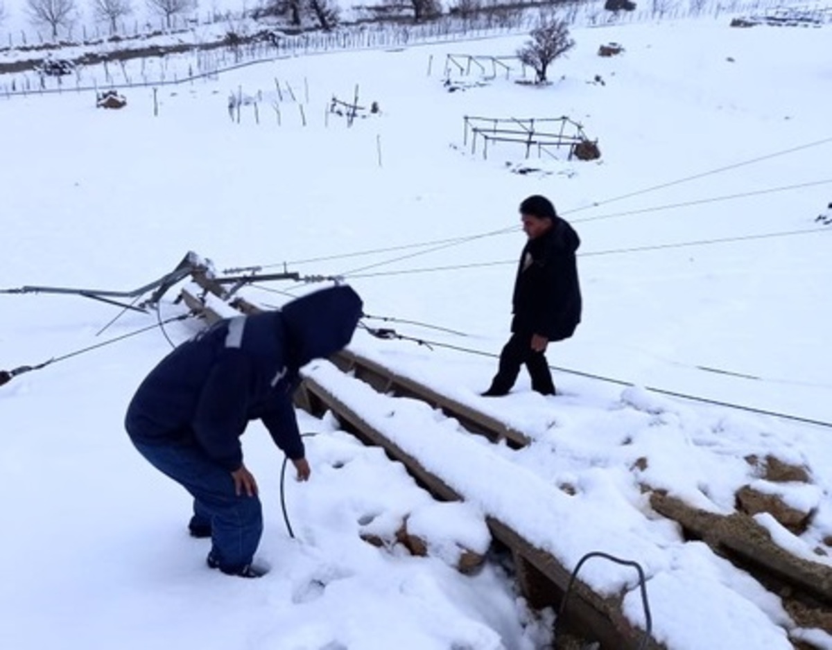 اتصال برق ۴۰ روستای بویراحمد سفلی