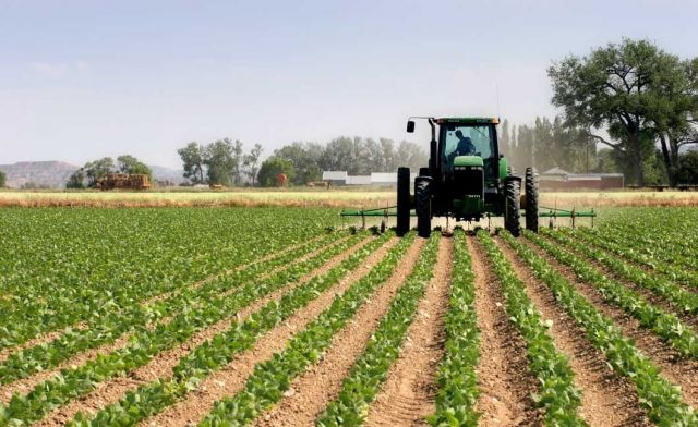 اجرای ۷۷درصد سطح مصوب کشاورزی قراردادی در خوزستان