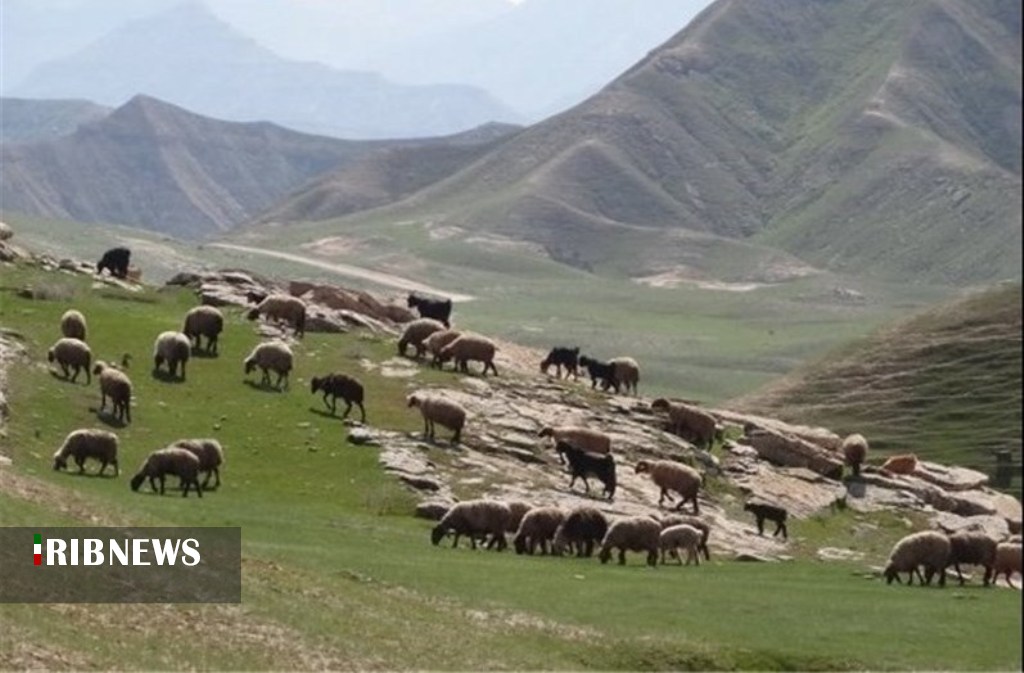 دارندگان پروانه چرای دام در مراتع باید طرح مرتعداری تهیه کنند