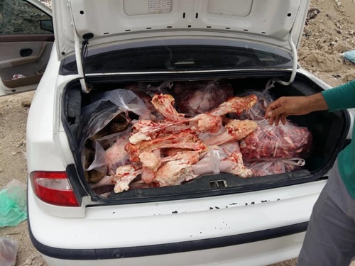 کشف ۳۷۰ کیلوگرم گوشت غیر قابل مصرف در شهرستان لامرد
