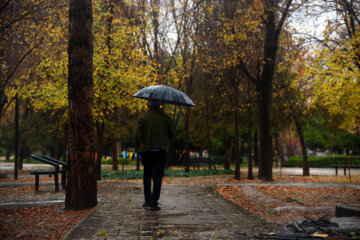هوای پاک، ارمغان بارش برف و باران در مشهد