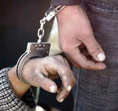 دستبند پلیس مرکزی بر دستان ۸۱ سارق