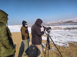 آغاز سرشماری زمستانی پرندگان در جنوب آذربایجانغربی