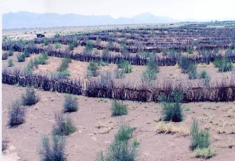 اختصاص اعتبار برای بیابان زدایی در استان یزد