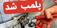 پلمپ ۴ واحد عرضه مواد خام گوشتی در شوط