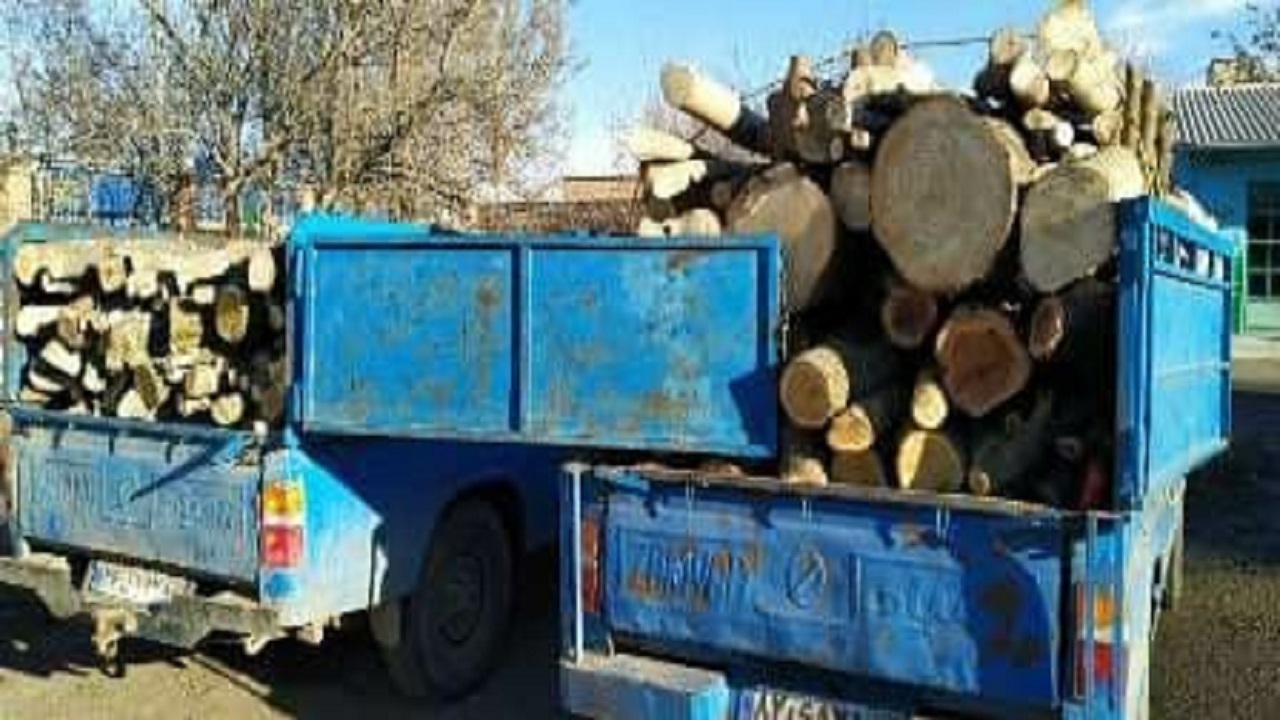 کشف ۳ تن چوب آلات غیر مجاز و قاچاق جنگلی در اردبیل