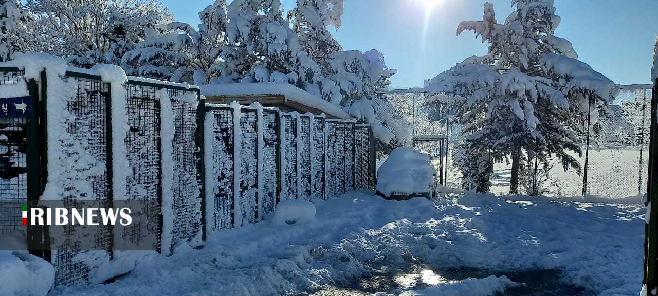 سقز دومین شهر سرد ایران/ ارتفاع برف مریوان ۷۸ سانتیمتر