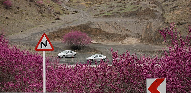 ثبت ملی رویشگاه طبیعی دره ارغوان بینالود