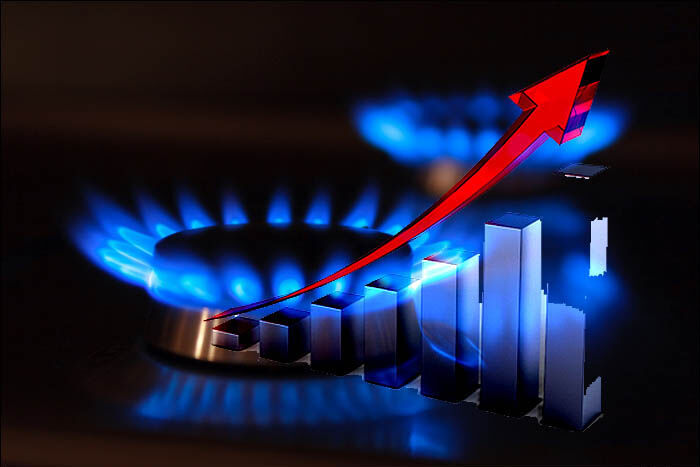 افزایش ۱۵ درصدی مصرف گاز طبیعی در خراسان جنوبی