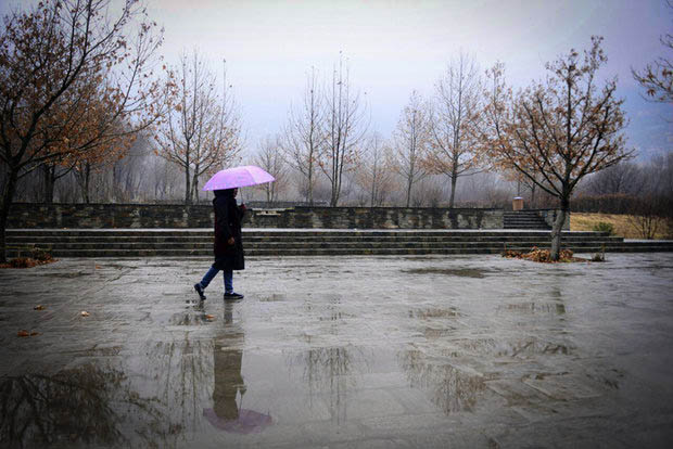 بارش‌ باران در نیمه شمالی و مرکزی فارس