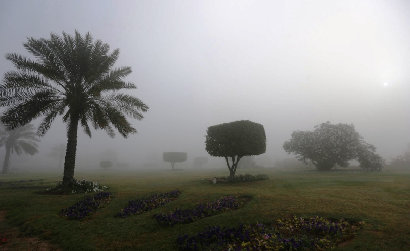 مه رقیق در مناطق ساحلی هرمزگان، ۱۲ بهمن